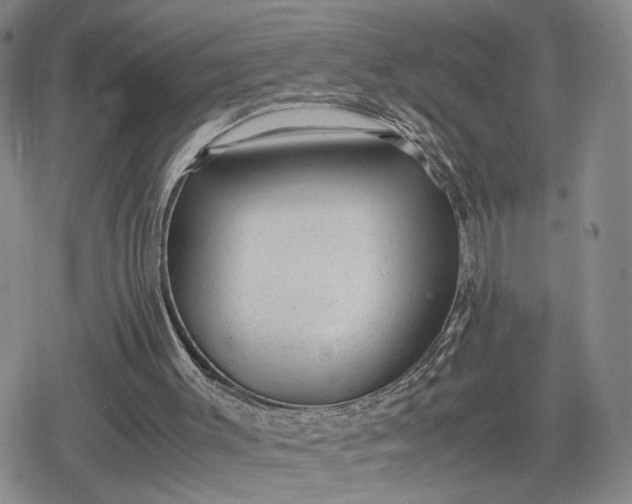 X0000080190003200612221352