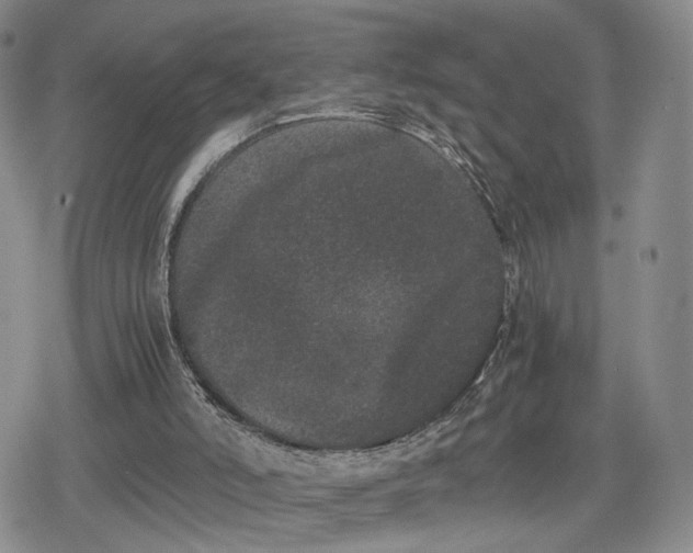 X0000080190006200612221352