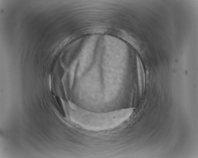 X0000080190013200612221352
