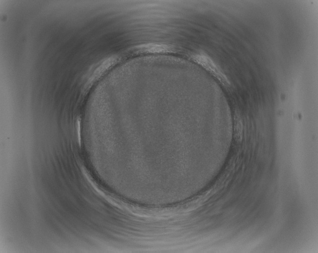 X0000080190014200612221352
