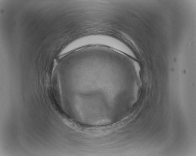 X0000080190025200612221352
