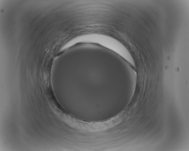 X0000080190031200612221352