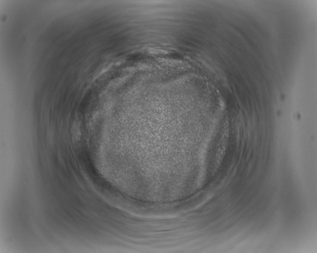 X0000080190032200612221352