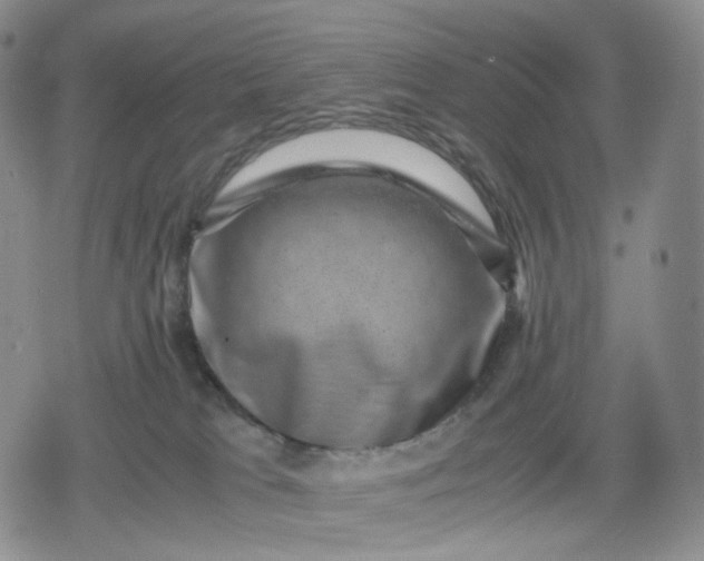 X0000080190037200612221351
