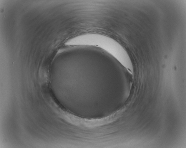 X0000080190039200612221351