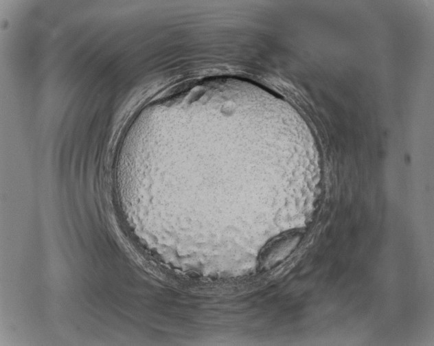 X0000080190049200612221351