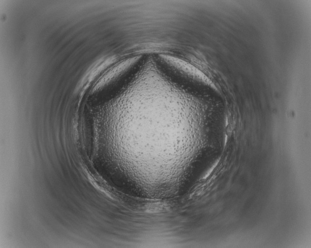 X0000080190050200612221351