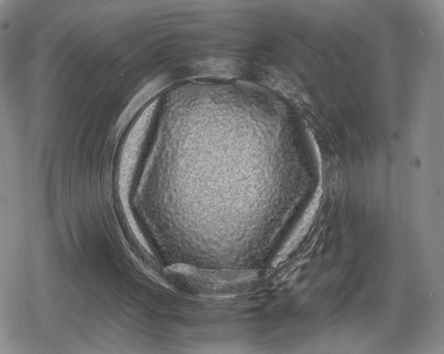 X0000080190051200612221351