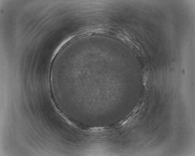X0000080190052200612221351