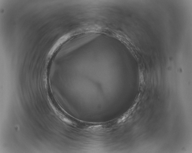 X0000080190054200612221351
