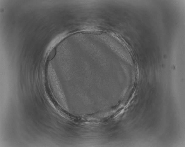 X0000080190055200612221351