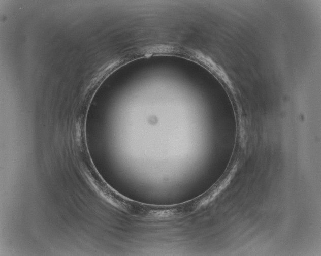 X0000080190057200612221351