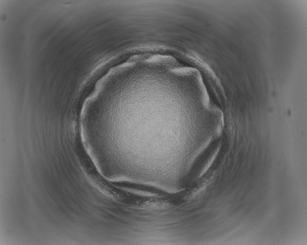 X0000080190063200612221351