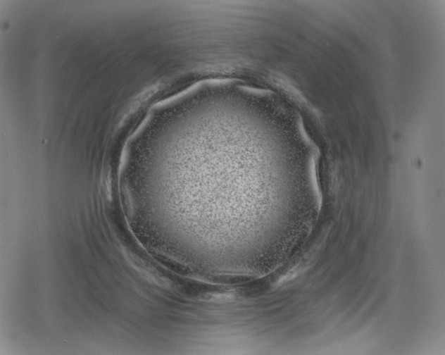 X0000080190068200612221351