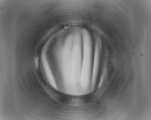 X0000080190070200612221351