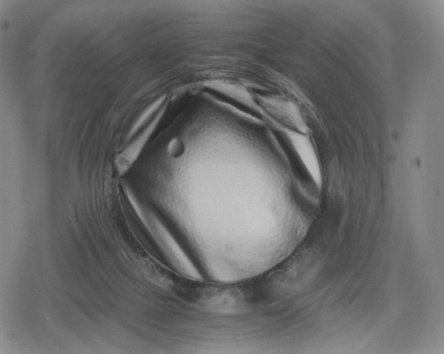 X0000080190073200612221351