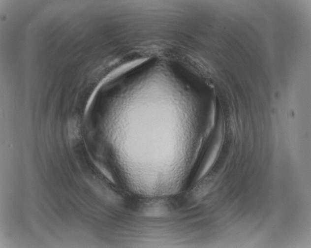 X0000080190081200612221351