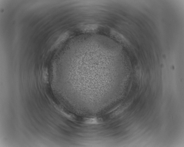X0000080190083200612221351