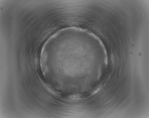 X0000080190084200612221351