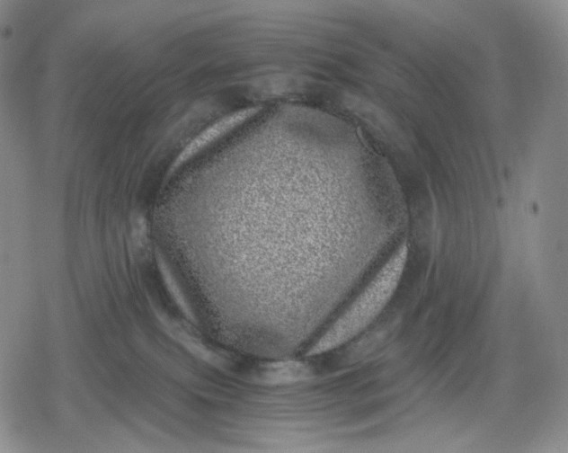 X0000080190087200612221351