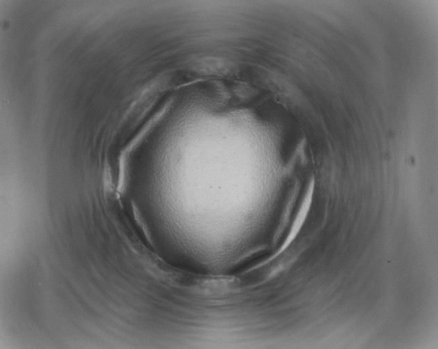 X0000080190089200612221351