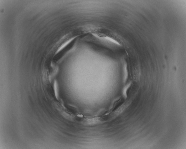 X0000080190093200612221351