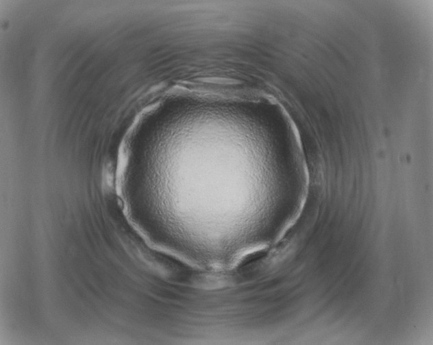 X0000080190095200612221351