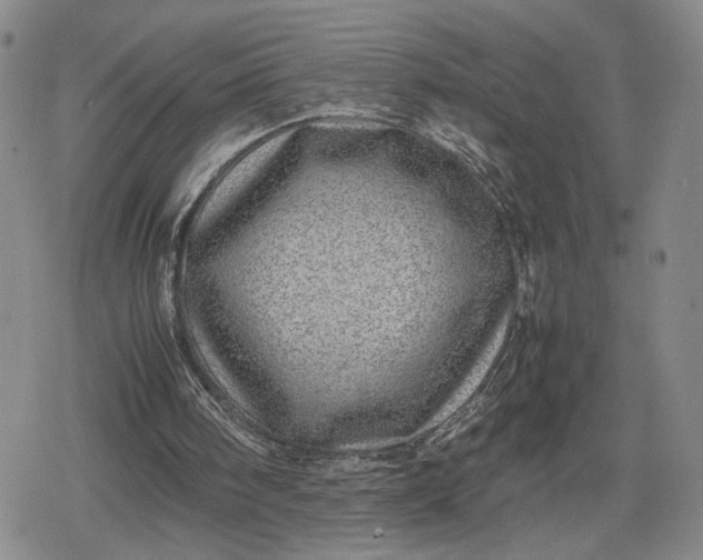 X0000080190098200612221351