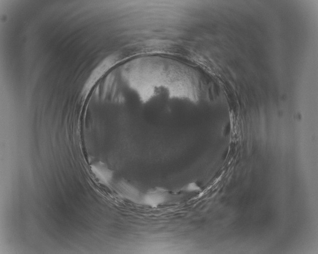 X0000080190099200612221350
