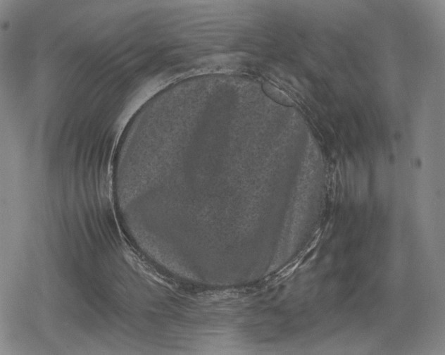 X0000080190100200612221350