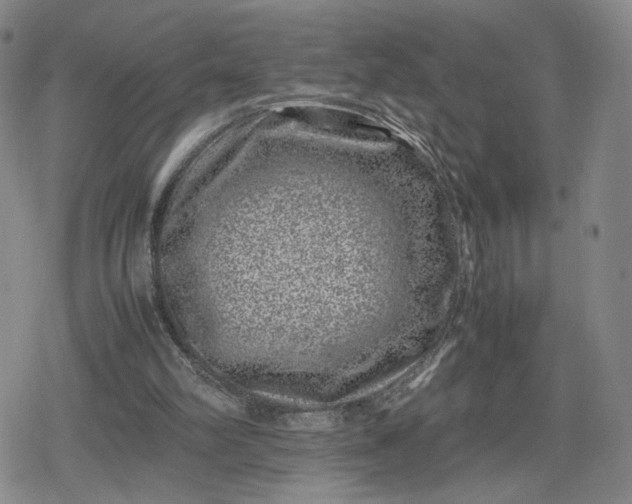 X0000080190102200612221350