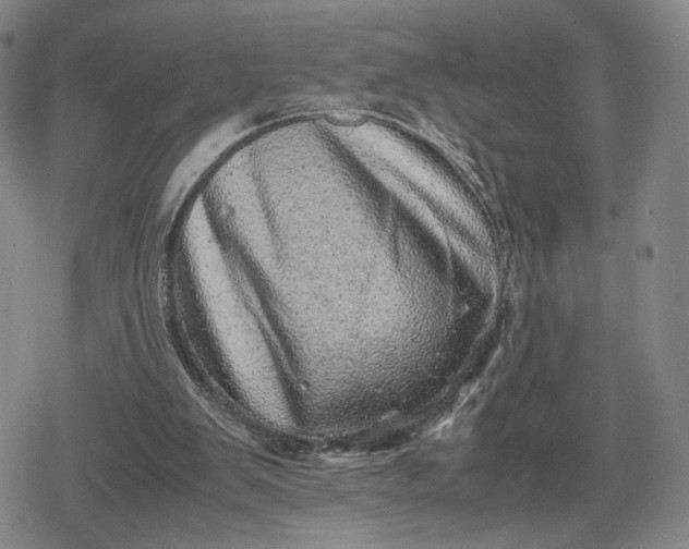 X0000080190103200612221350