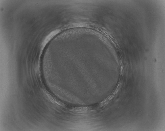 X0000080190104200612221350