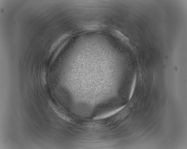 X0000080190106200612221350