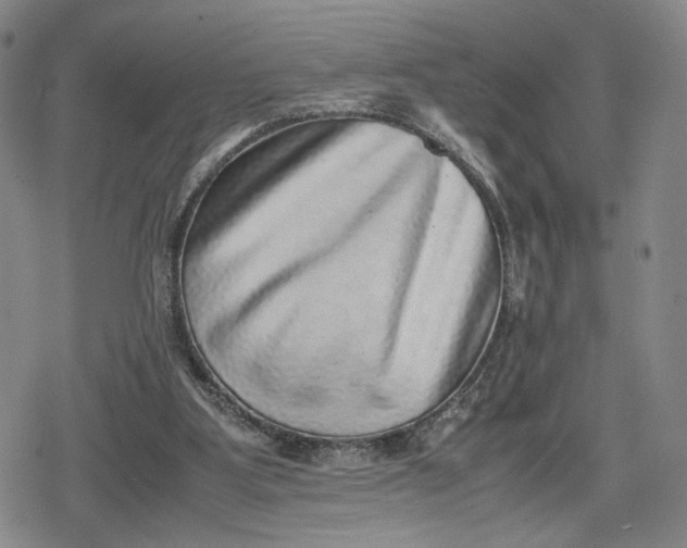 X0000080190107200612221350