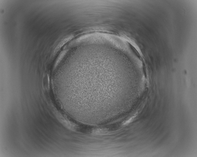 X0000080190109200612221350