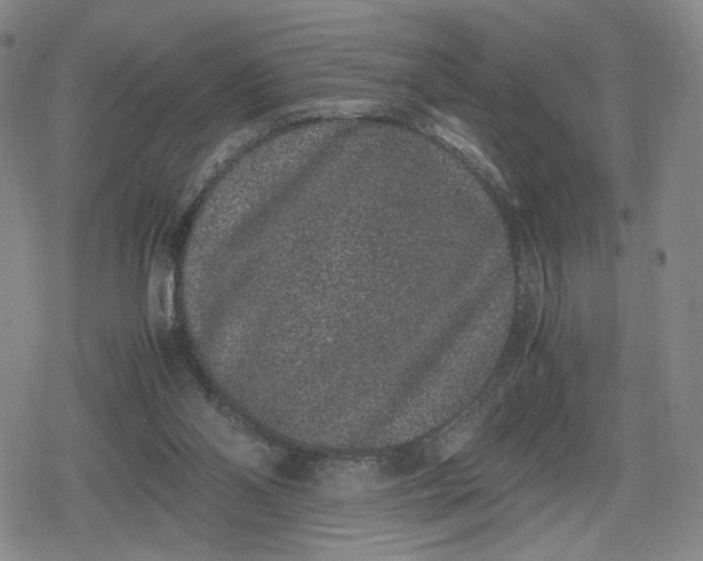 X0000080190110200612221350
