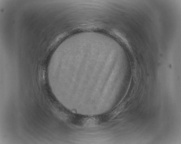 X0000080190115200612221350
