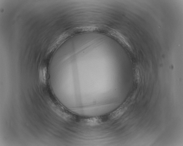 X0000080190118200612221350