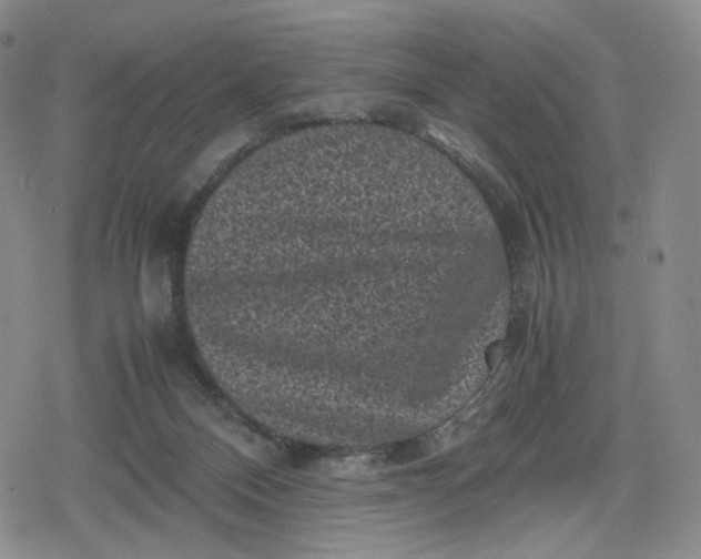 X0000080190120200612221350