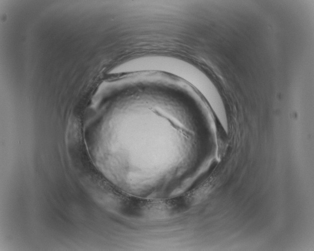 X0000080190123200612221350