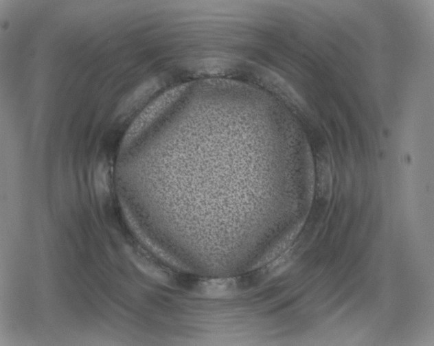X0000080190126200612221350