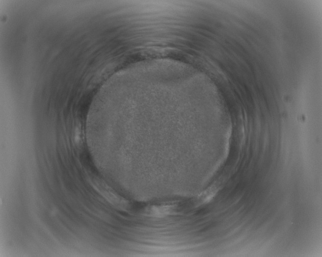 X0000080190134200612221350