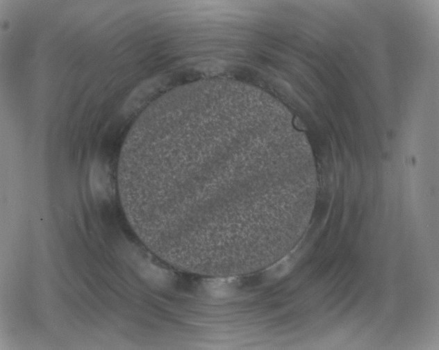 X0000080190136200612221350
