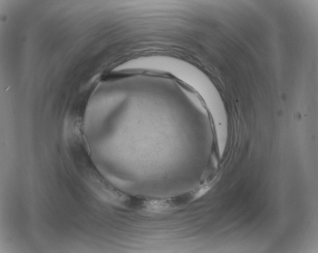 X0000080190141200612221350
