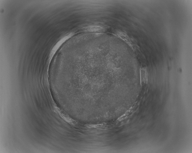 X0000080190147200612221349