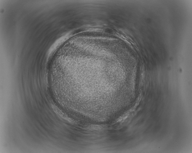X0000080190149200612221349