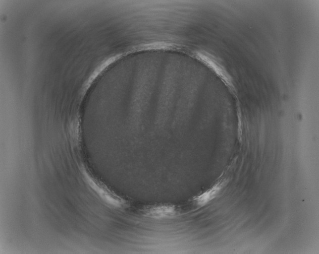 X0000080190156200612221349