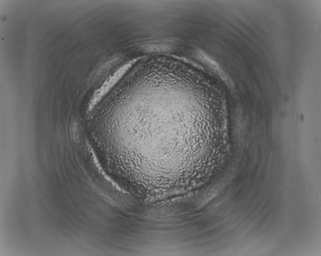 X0000080190161200612221349