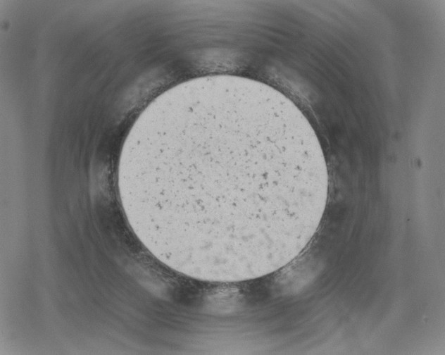 X0000080190162200612221349
